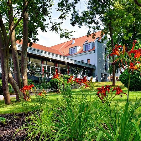 ARTHOTEL Kiebitzberg Havelberg Exterior foto