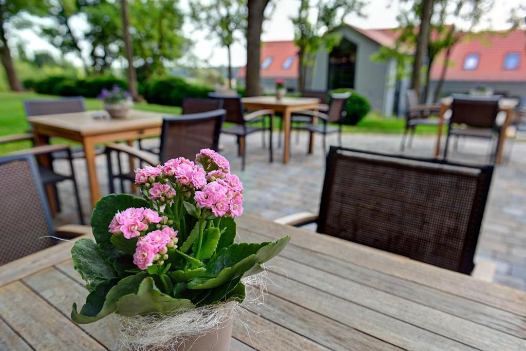 ARTHOTEL Kiebitzberg Havelberg Exterior foto